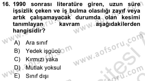 Sosyal Bilimlerde Temel Kavramlar Dersi 2025 - 2026 Yılı Yaz Okulu Sınav Soruları 16. Soru