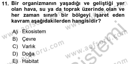 İnsan ve Toplum Dersi 2016 - 2017 Yılı (Vize) Ara Sınavı 11. Soru