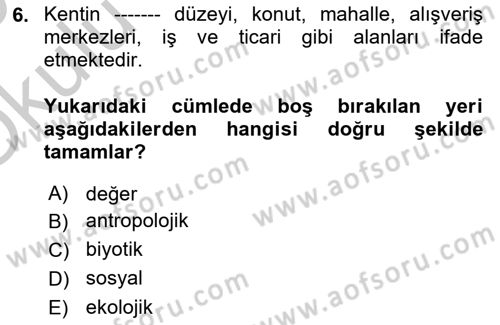 İnsan ve Toplum Dersi 2018 - 2019 Yılı Yaz Okulu Sınavı 6. Soru