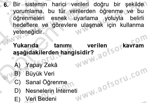 İnsan ve Toplum Dersi 2023 - 2024 Yılı (Final) Dönem Sonu Sınav Soruları 6. Soru