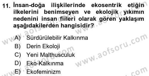 İnsan ve Toplum Dersi 2024 - 2025 Yılı (Vize) Ara Sınav Soruları 11. Soru
