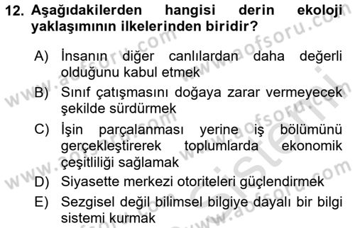 İnsan ve Toplum Dersi 2024 - 2025 Yılı (Vize) Ara Sınav Soruları 12. Soru