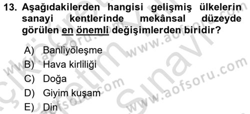 İnsan ve Toplum Dersi 2024 - 2025 Yılı (Vize) Ara Sınav Soruları 13. Soru