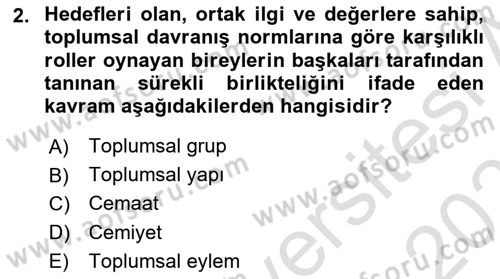 İnsan ve Toplum Dersi 2024 - 2025 Yılı (Vize) Ara Sınav Soruları 2. Soru