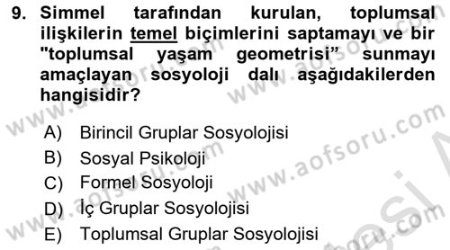 İnsan ve Toplum Dersi 2024 - 2025 Yılı (Vize) Ara Sınav Soruları 9. Soru