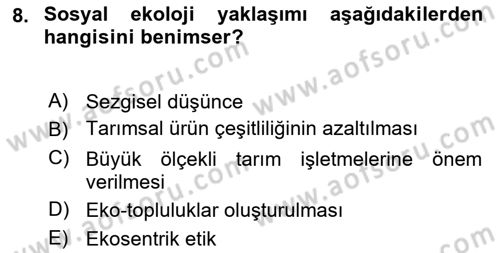 İnsan ve Toplum Dersi 2024 - 2025 Yılı Yaz Okulu Sınav Soruları 8. Soru