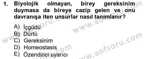 Birey ve Davranış Dersi 2012 - 2013 Yılı (Vize) Ara Sınav Soruları 1. Soru