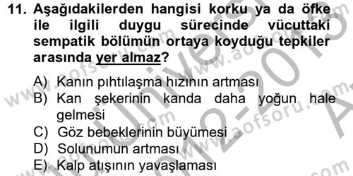 Birey ve Davranış Dersi 2012 - 2013 Yılı (Vize) Ara Sınav Soruları 11. Soru