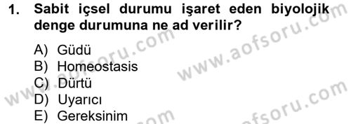 Birey ve Davranış Dersi 2012 - 2013 Yılı (Final) Dönem Sonu Sınav Soruları 1. Soru