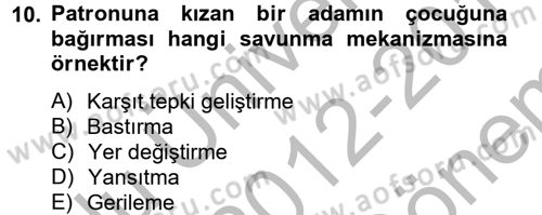 Birey ve Davranış Dersi 2012 - 2013 Yılı (Final) Dönem Sonu Sınav Soruları 10. Soru