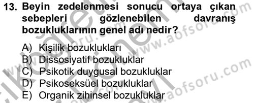Birey ve Davranış Dersi 2012 - 2013 Yılı (Final) Dönem Sonu Sınav Soruları 13. Soru
