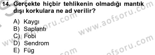 Birey ve Davranış Dersi 2012 - 2013 Yılı (Final) Dönem Sonu Sınav Soruları 14. Soru