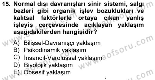 Birey ve Davranış Dersi 2012 - 2013 Yılı (Final) Dönem Sonu Sınav Soruları 15. Soru