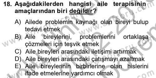 Birey ve Davranış Dersi 2012 - 2013 Yılı (Final) Dönem Sonu Sınav Soruları 18. Soru