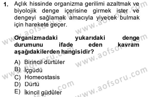 Birey ve Davranış Dersi 2013 - 2014 Yılı (Vize) Ara Sınav Soruları 1. Soru