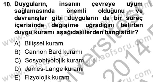 Birey ve Davranış Dersi 2013 - 2014 Yılı (Vize) Ara Sınav Soruları 10. Soru