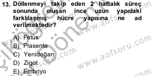 Birey ve Davranış Dersi 2013 - 2014 Yılı (Vize) Ara Sınav Soruları 13. Soru