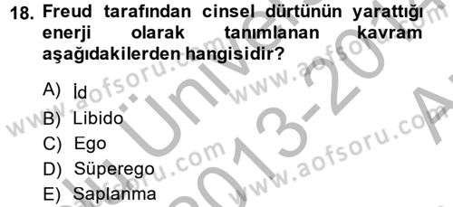 Birey ve Davranış Dersi 2013 - 2014 Yılı (Vize) Ara Sınav Soruları 18. Soru