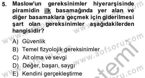 Birey ve Davranış Dersi 2013 - 2014 Yılı (Vize) Ara Sınav Soruları 5. Soru