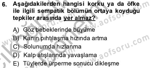 Birey ve Davranış Dersi 2013 - 2014 Yılı (Vize) Ara Sınav Soruları 6. Soru
