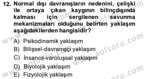 Birey ve Davranış Dersi 2013 - 2014 Yılı (Final) Dönem Sonu Sınav Soruları 12. Soru