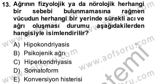 Birey ve Davranış Dersi 2013 - 2014 Yılı (Final) Dönem Sonu Sınav Soruları 13. Soru