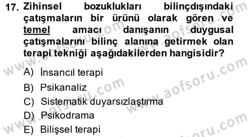 Birey ve Davranış Dersi 2013 - 2014 Yılı (Final) Dönem Sonu Sınav Soruları 17. Soru