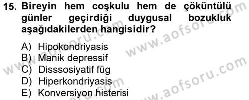 Birey ve Davranış Dersi 2013 - 2014 Yılı Tek Ders Sınav Soruları 15. Soru
