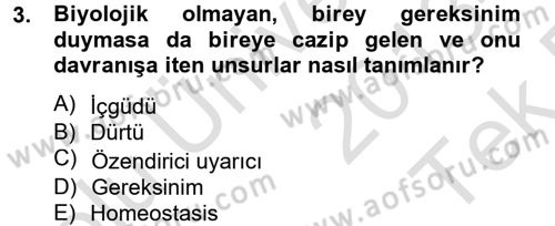 Birey ve Davranış Dersi 2013 - 2014 Yılı Tek Ders Sınavı 3. Soru