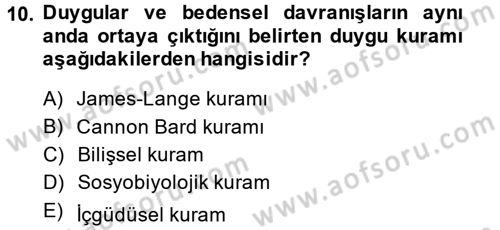 Birey ve Davranış Dersi 2014 - 2015 Yılı (Vize) Ara Sınav Soruları 10. Soru