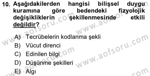 Birey ve Davranış Dersi 2015 - 2016 Yılı (Vize) Ara Sınav Soruları 10. Soru