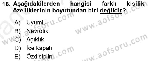 Birey ve Davranış Dersi 2015 - 2016 Yılı (Vize) Ara Sınav Soruları 16. Soru