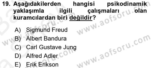 Birey ve Davranış Dersi 2015 - 2016 Yılı (Vize) Ara Sınav Soruları 19. Soru