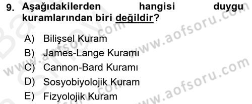 Birey ve Davranış Dersi 2015 - 2016 Yılı (Vize) Ara Sınav Soruları 9. Soru