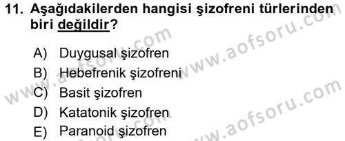 Birey ve Davranış Dersi 2015 - 2016 Yılı (Final) Dönem Sonu Sınav Soruları 11. Soru