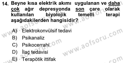 Birey ve Davranış Dersi 2015 - 2016 Yılı (Final) Dönem Sonu Sınav Soruları 14. Soru