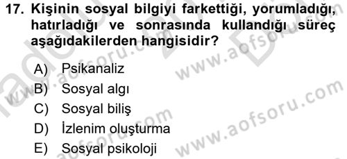 Birey ve Davranış Dersi 2015 - 2016 Yılı (Final) Dönem Sonu Sınav Soruları 17. Soru