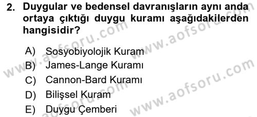 Birey ve Davranış Dersi 2015 - 2016 Yılı (Final) Dönem Sonu Sınav Soruları 2. Soru