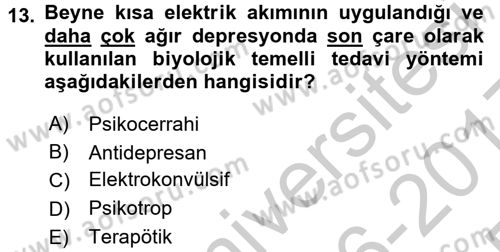 Birey ve Davranış Dersi 2016 - 2017 Yılı 3 Ders Sınav Soruları 13. Soru
