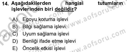 Birey ve Davranış Dersi 2016 - 2017 Yılı 3 Ders Sınav Soruları 14. Soru
