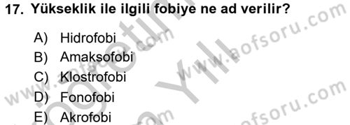 Birey ve Davranış Dersi 2016 - 2017 Yılı 3 Ders Sınav Soruları 17. Soru