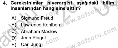 Birey ve Davranış Dersi 2016 - 2017 Yılı 3 Ders Sınav Soruları 4. Soru