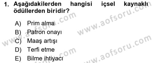 Birey ve Davranış Dersi 2016 - 2017 Yılı (Vize) Ara Sınav Soruları 1. Soru