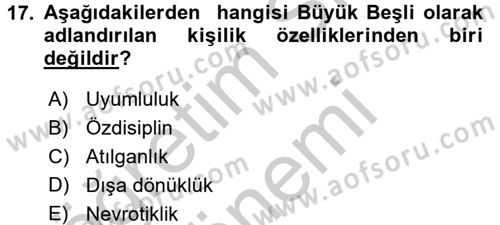 Birey ve Davranış Dersi 2016 - 2017 Yılı (Vize) Ara Sınav Soruları 17. Soru