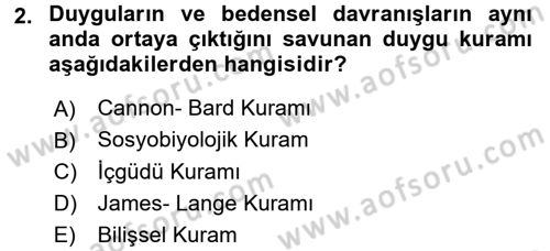 Birey ve Davranış Dersi 2016 - 2017 Yılı (Vize) Ara Sınav Soruları 2. Soru