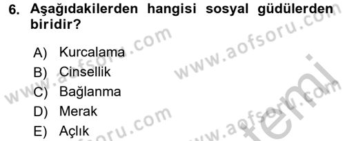 Birey ve Davranış Dersi 2016 - 2017 Yılı (Vize) Ara Sınav Soruları 6. Soru