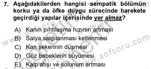 Birey ve Davranış Dersi 2016 - 2017 Yılı (Vize) Ara Sınav Soruları 7. Soru