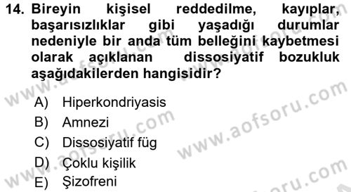 Birey ve Davranış Dersi 2016 - 2017 Yılı (Final) Dönem Sonu Sınav Soruları 14. Soru