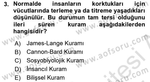 Birey ve Davranış Dersi 2016 - 2017 Yılı (Final) Dönem Sonu Sınav Soruları 3. Soru