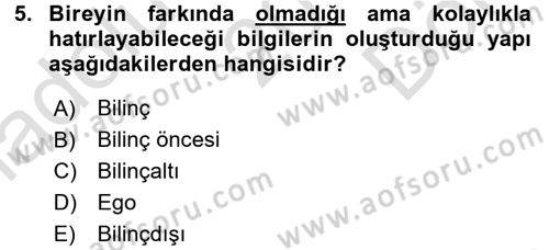 Birey ve Davranış Dersi 2016 - 2017 Yılı (Final) Dönem Sonu Sınav Soruları 5. Soru